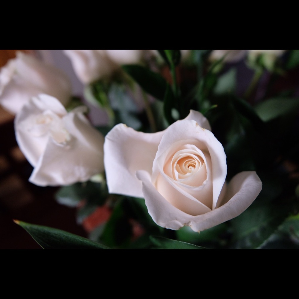 Meet your Posher, Charina